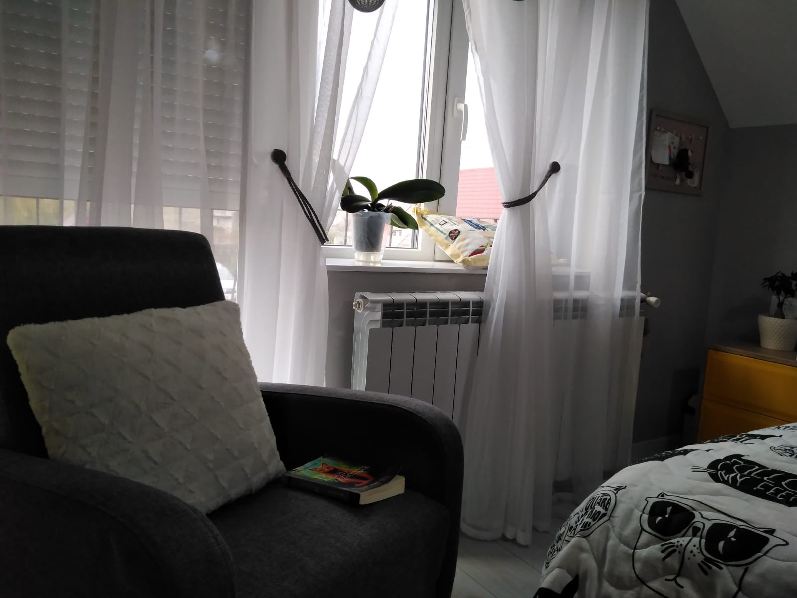 IMG-20200201-WA0046